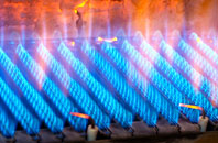 Dirnanean gas fired boilers